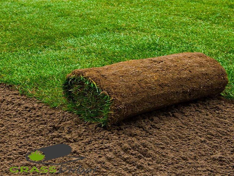 Artificial Grass Fixings​