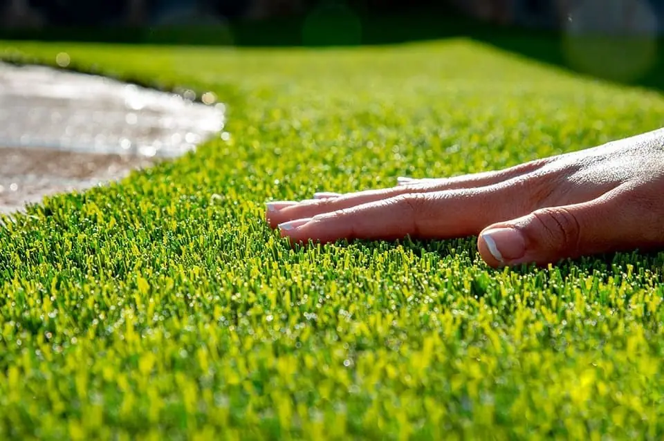 Buy Grass Carpet in dubai
