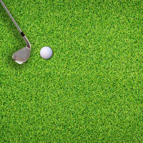 Golf Grass Dubai