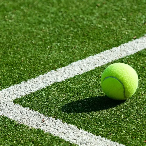 Tennis Grass