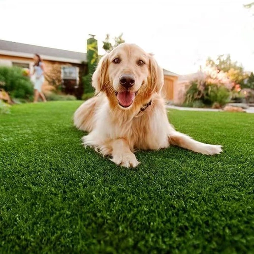 Pet Grass Carpet