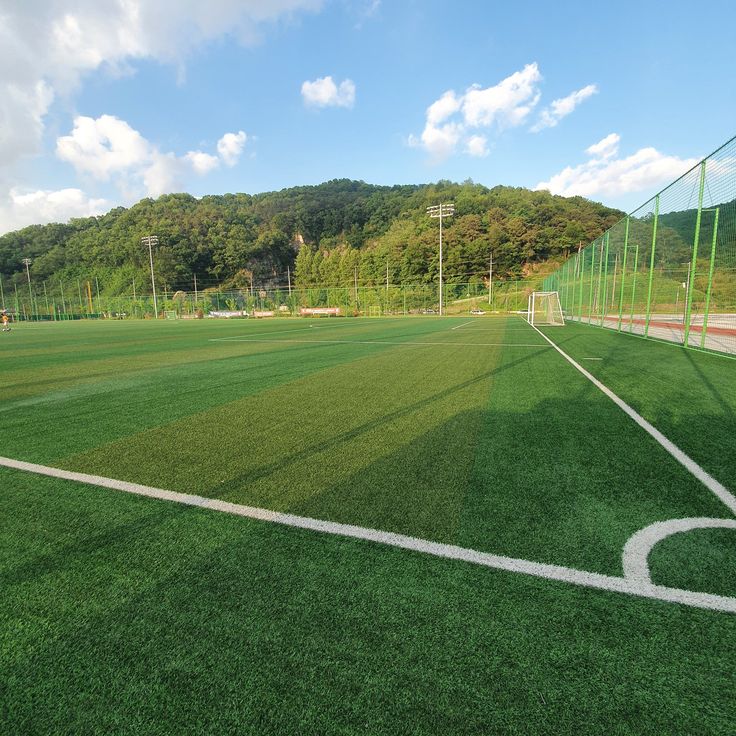 628afed3580ad1167ed4560baf04a906