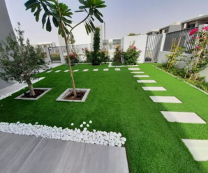Front Lawn Dubai Hills Estate